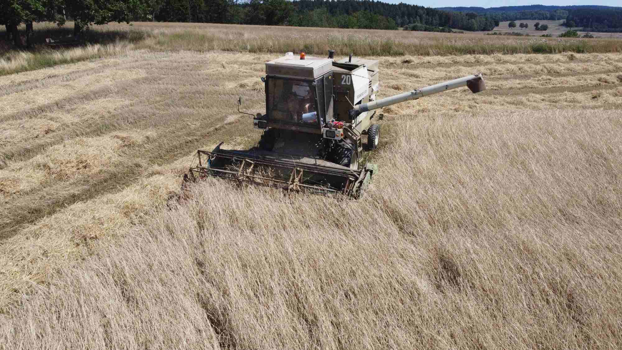 Biofeld Drohnenbild